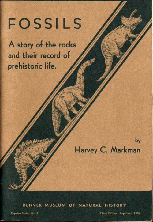 Fossils: A Story of the Rocks and Their Record of Prehistoric Life Fossils: A Story of the Rocks and Their Record of Prehistoric Life
