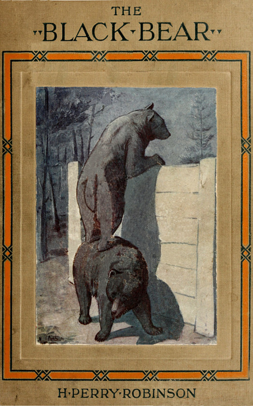 The Life Story of a Black Bear The Life Story of a Black Bear