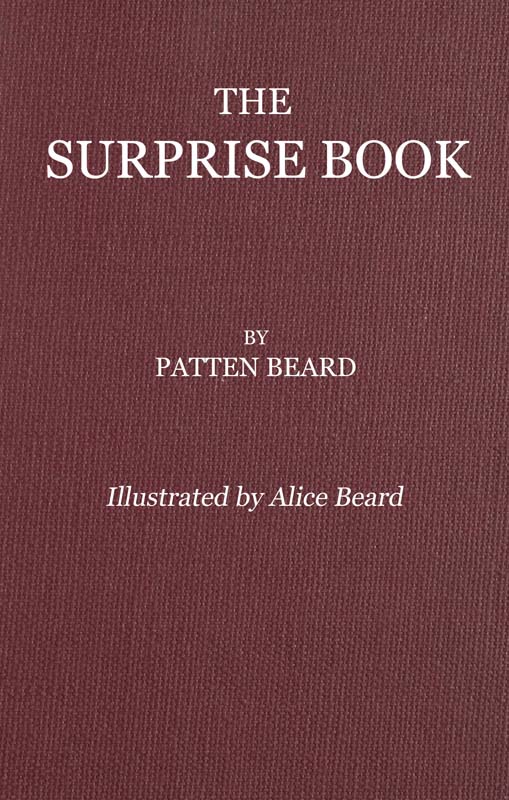 Sürpriz Kitap Sürpriz Kitap