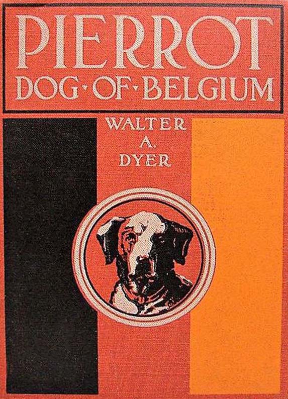 Pierrot, Dog of Belgium Pierrot, Dog of Belgium
