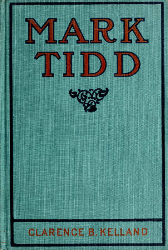 Mark Tidd: His Adventures and Strategies Mark Tidd: His Adventures and Strategies