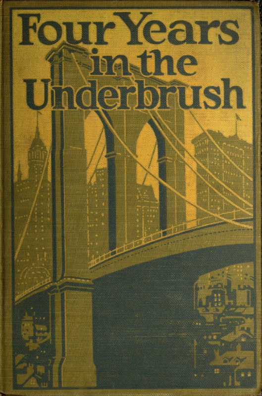 Four Years in the Underbrush: Adventures as a Working Woman in New York Four Years in the Underbrush: Adventures as a Working Woman in New York