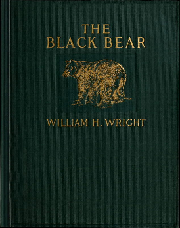 The Black Bear The Black Bear