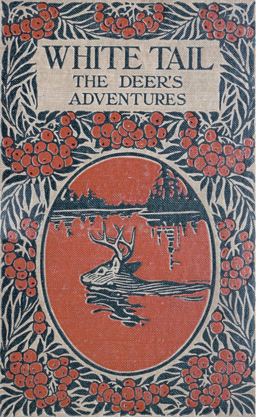 White Tail the Deer's Adventures