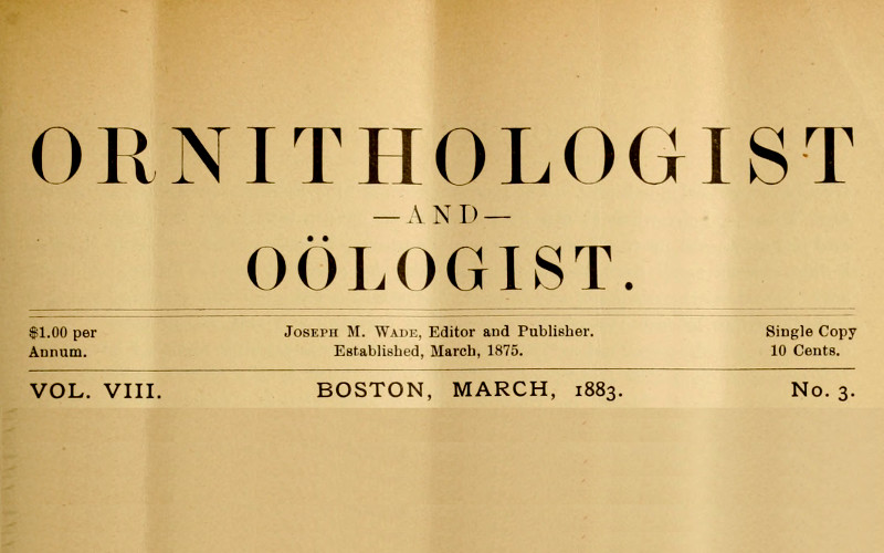 The Ornithologist and Oölogist. Vol. VIII No. 3, March 1883 Birds: Their Nests and Eggs The Ornithologist and Oölogist. Vol. VIII No. 3, March 1883 Birds: Their Nests and Eggs