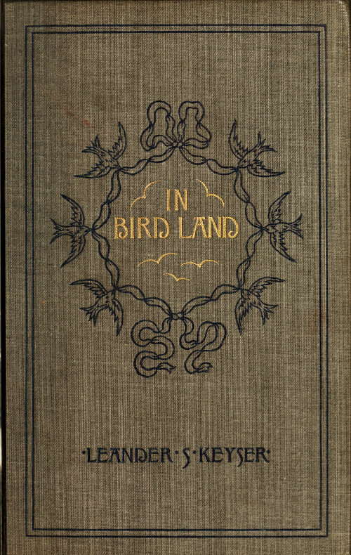 In Bird Land In Bird Land