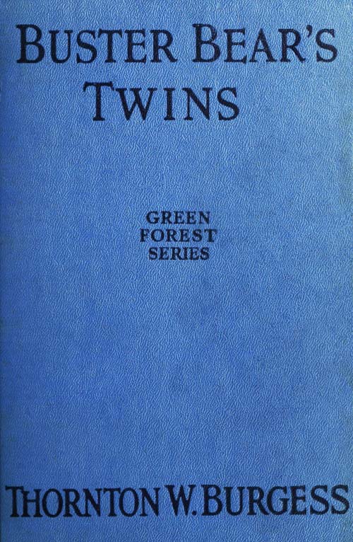 Buster Bear's Twins