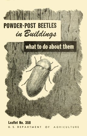 Powder-Post Beetles in Buildings: What to Do About Them Powder-Post Beetles in Buildings: What to Do About Them