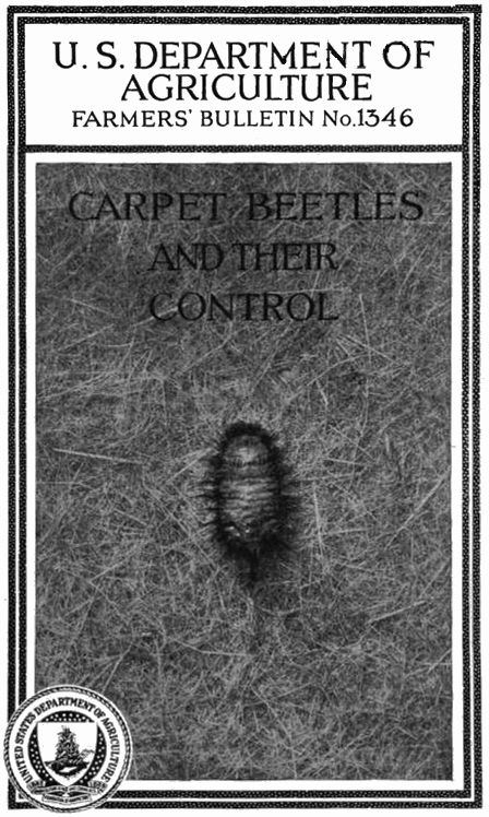 Carpet Beetles and Their Control Carpet Beetles and Their Control