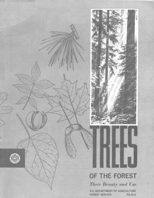 Trees of the Forest: Their Beauty and Use Trees of the Forest: Their Beauty and Use
