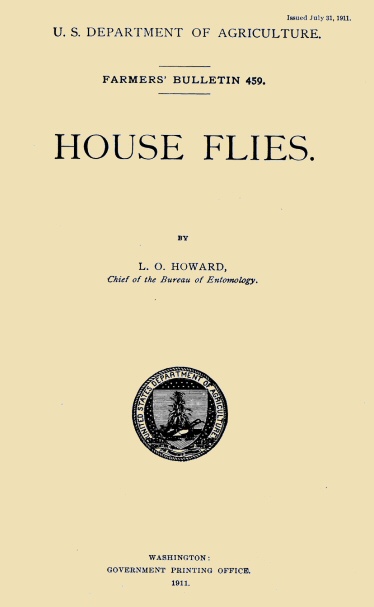 House Flies House Flies