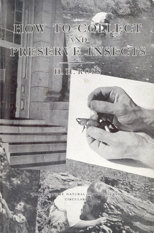 How to Collect and Preserve Insects How to Collect and Preserve Insects