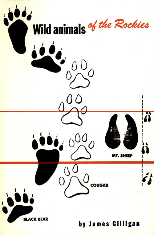 Wild Animals of the Rockies With a List of Mammals found in Rocky Mountain National Park Wild Animals of the Rockies With a List of Mammals found in Rocky Mountain National Park