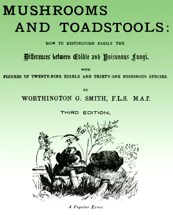 Mushroom and Toadstools
How to Distinguish Easily the Differences Between Edible and Poisonous Fungi