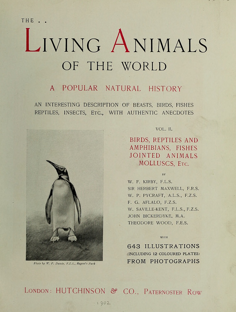 The Living Animals of the World, Volume 2 (of 2) A Popular Natural History The Living Animals of the World, Volume 2 (of 2) A Popular Natural History