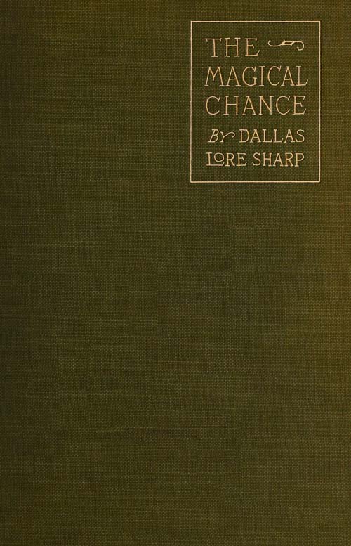 The Magical Chance The Magical Chance