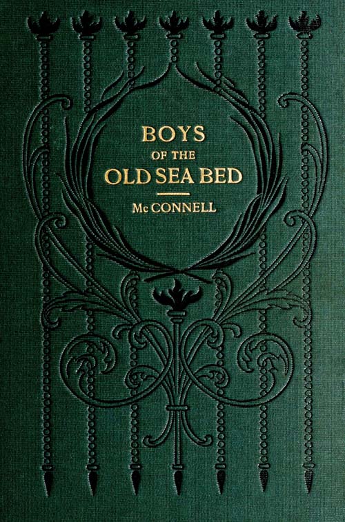 Boys of the Old Sea Bed: Tales of Nature and Adventure