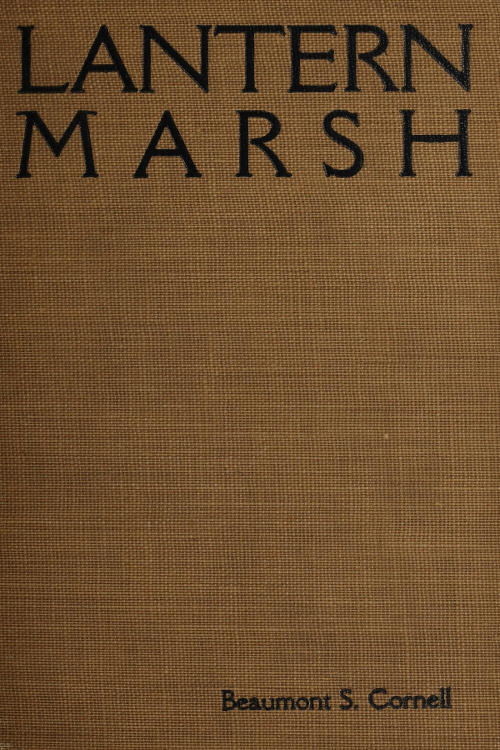 Lantern Marsh Lantern Marsh