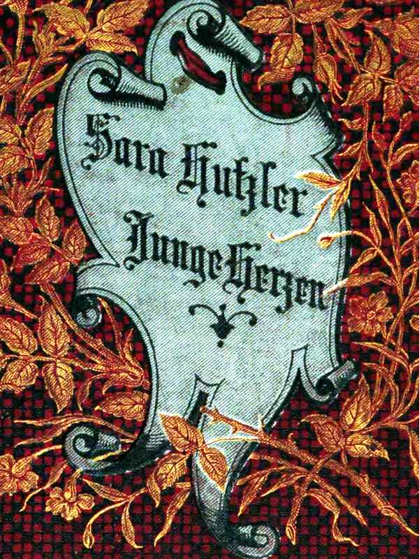 Junge Herzen: Erzählungen für die reifere Jugend Junge Herzen: Erzählungen für die reifere Jugend