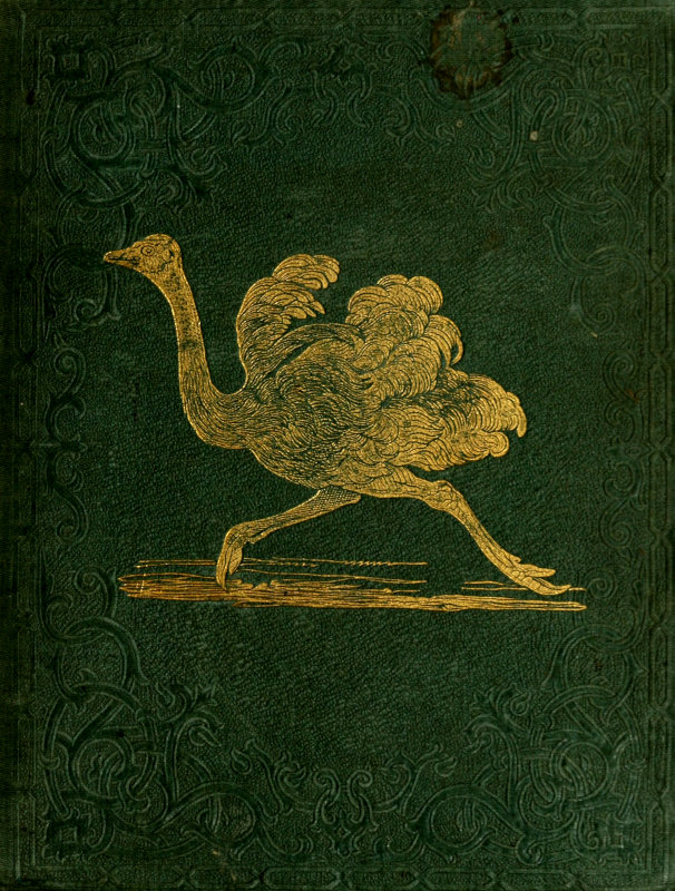 Tales About Birds, Illustrative of Their Nature, Habits, and Instincts