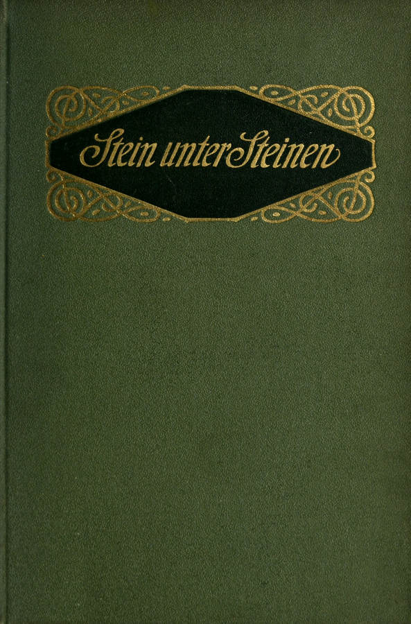 Stein unter Steinen: Schauspiel in vier Akten Stein unter Steinen: Schauspiel in vier Akten