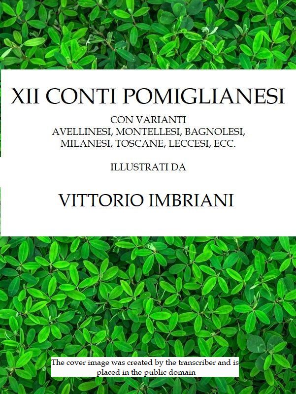 XII conti pomiglianesi con varianti avellinesi, montellesi, bagnolesi, milanesi, toscane, ecc. XII conti pomiglianesi con varianti avellinesi, montellesi, bagnolesi, milanesi, toscane, ecc.