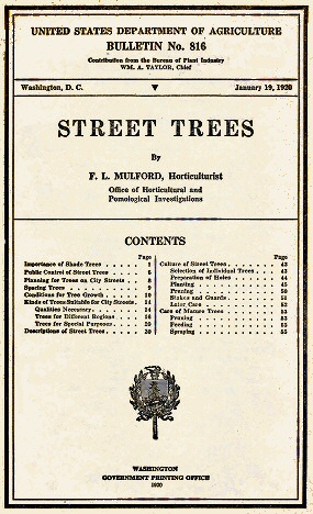 Street Trees Street Trees