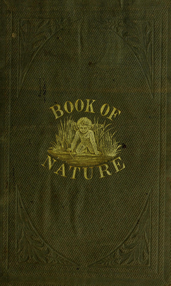 The Book of Nature Containing information for young people who think of getting married, on the philosophy of procreation and sexual intercourse, showing how to prevent conception and to avoid child-bearing: also, rules for management during labor and child-birth The Book of Nature Containing information for young people who think of getting married, on the philosophy of procreation and sexual intercourse, showing how to prevent conception and to avoid child-bearing: also, rules for management during labor and child-birth