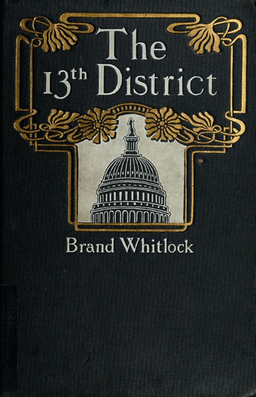 The 13th District: A Story of a Candidate The 13th District: A Story of a Candidate