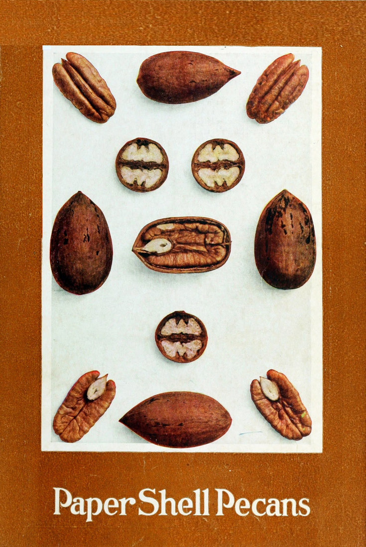 Paper Shell Pecans