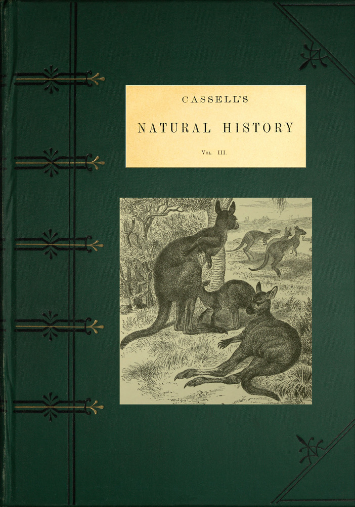 Cassell's Natural History, Vol. 3 (of 6) Cassell's Natural History, Vol. 3 (of 6)