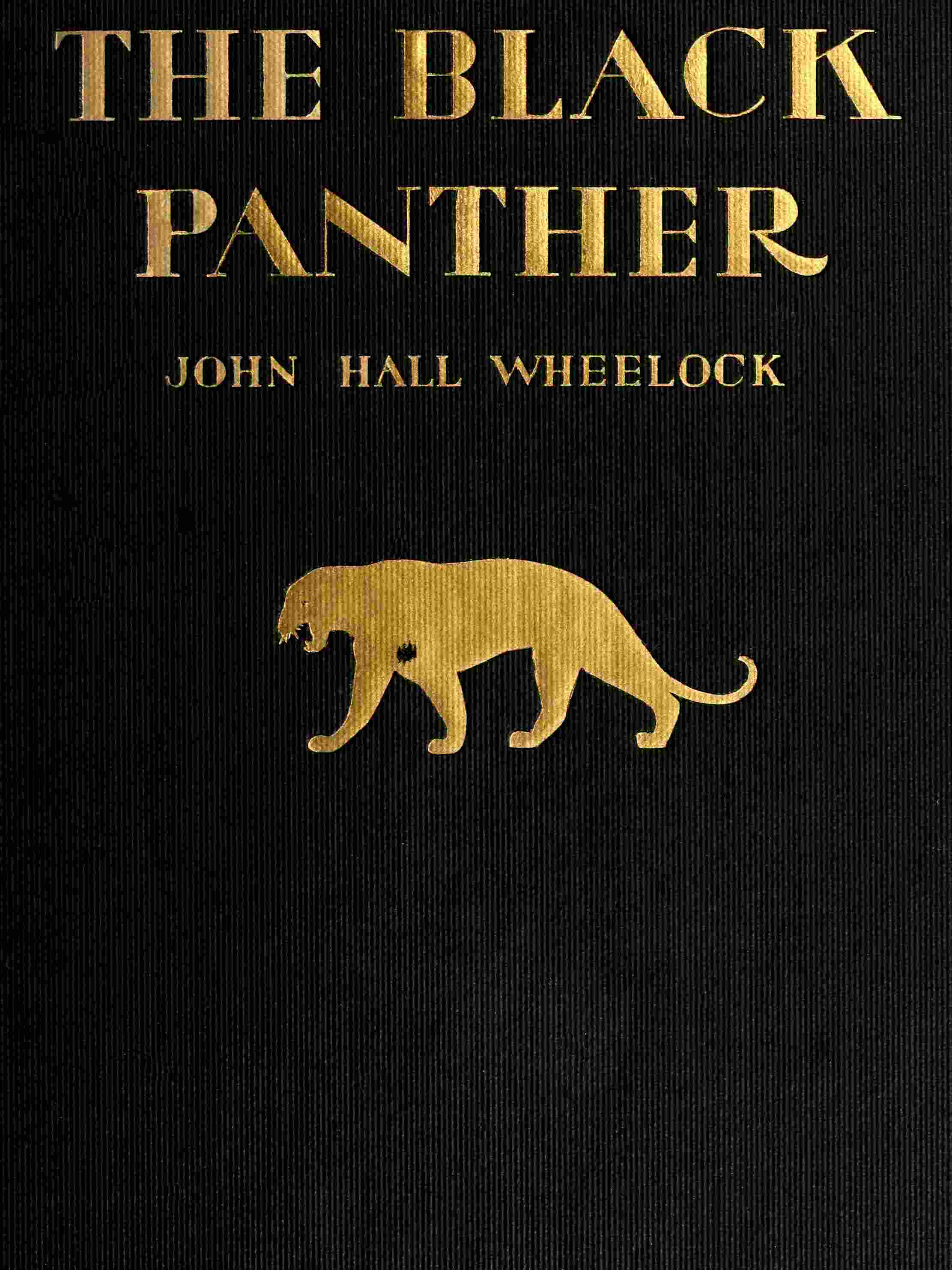 The Black Panther: A book of poems