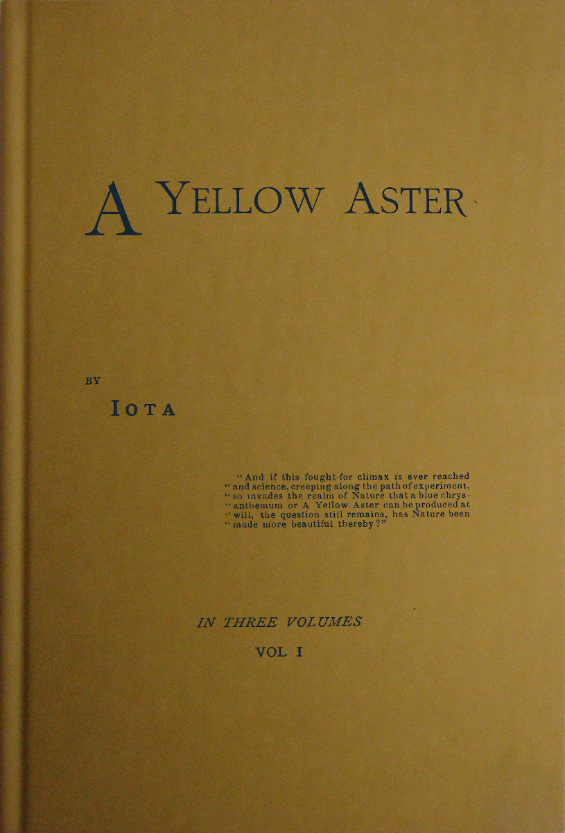 A Yellow Aster, Volume 1 (of 3) A Yellow Aster, Volume 1 (of 3)