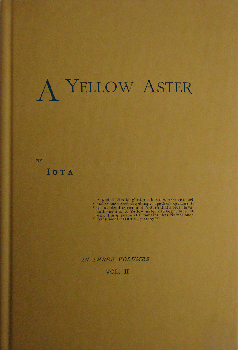 A Yellow Aster, Volume 2 (of 3) A Yellow Aster, Volume 2 (of 3)