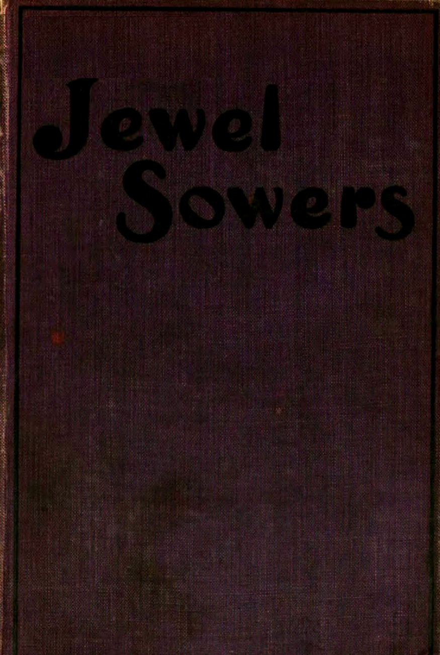 Jewel sowers: a novel Jewel sowers: a novel