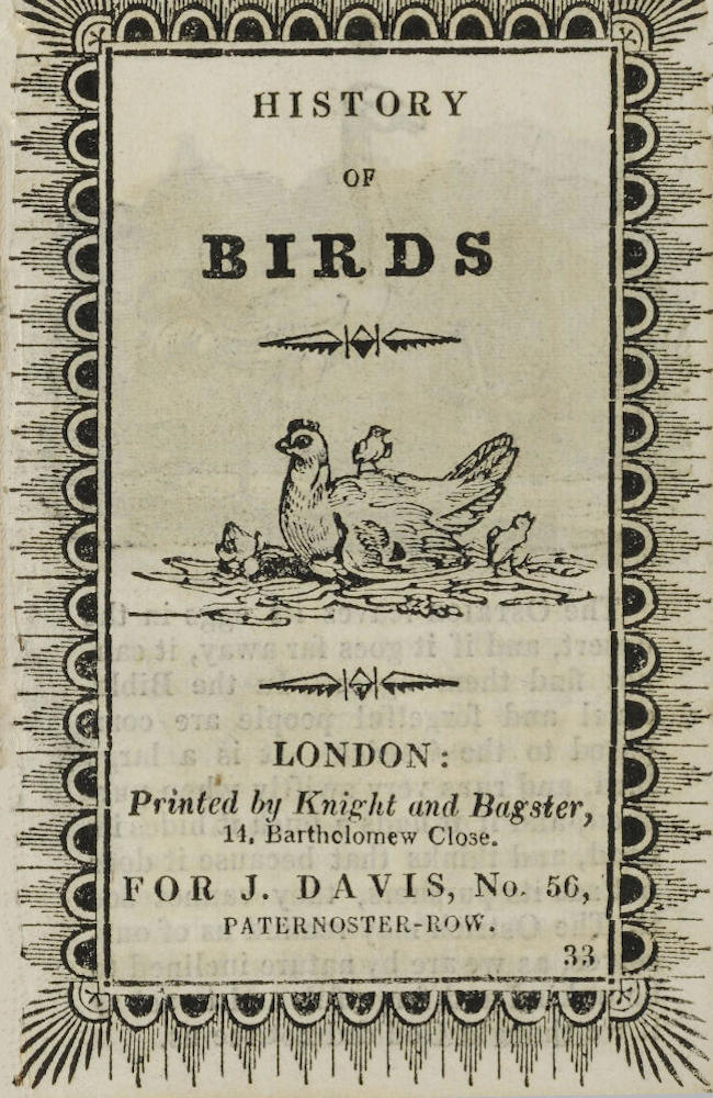 History of Birds History of Birds