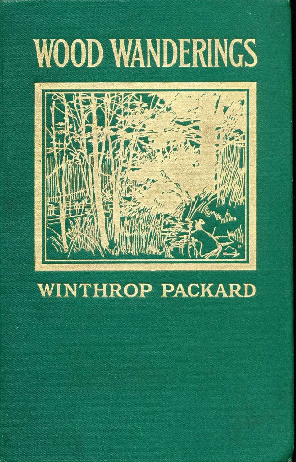 Wood Wanderings Wood Wanderings