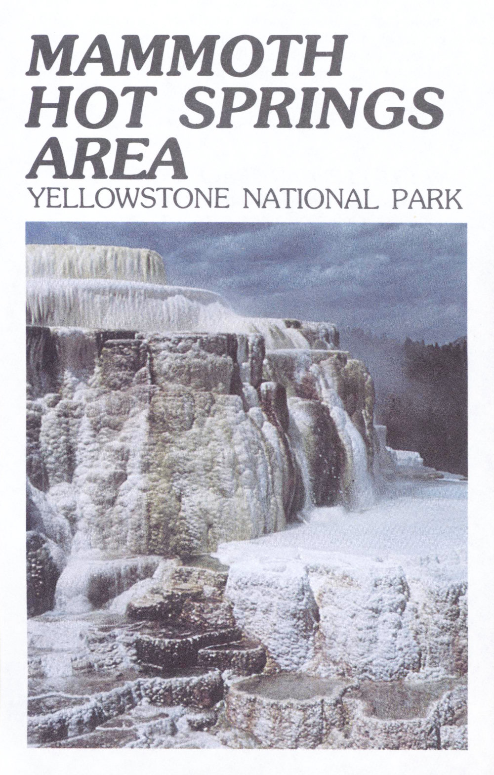Mammoth Hot Springs Area: Yellowstone National Park Mammoth Hot Springs Area: Yellowstone National Park