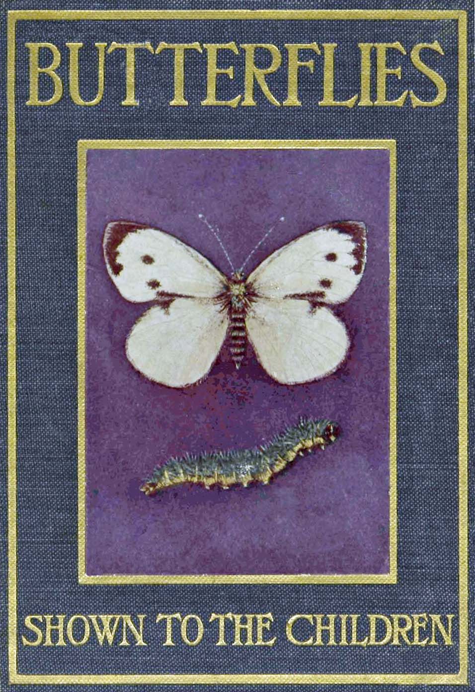 Butterflies and Moths, Shown to the Children