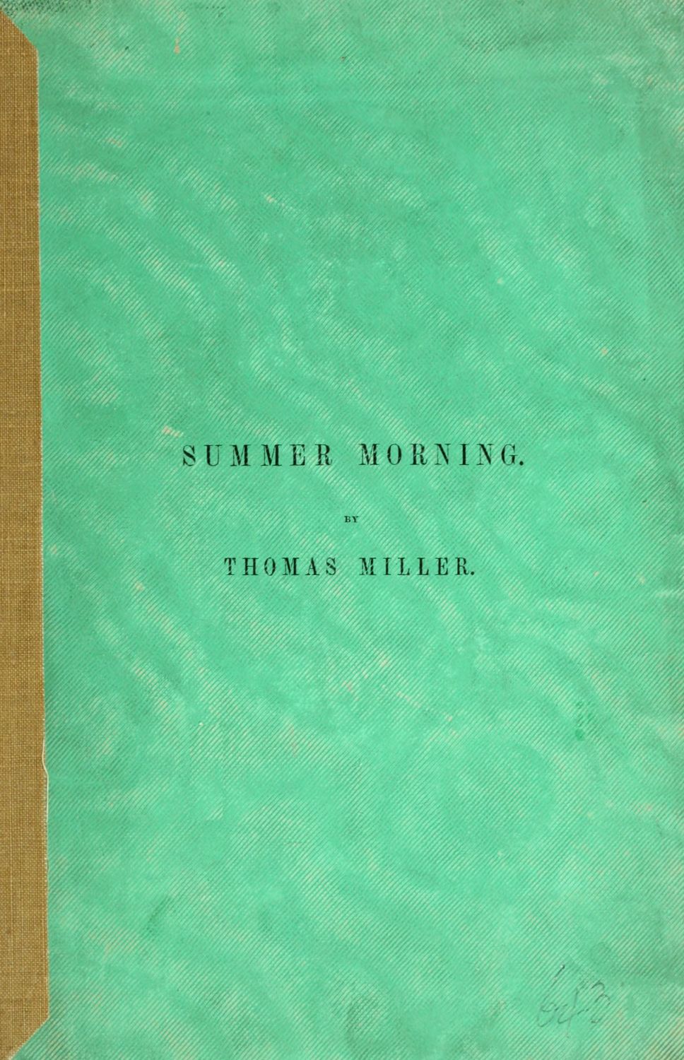 Summer Morning: A poem