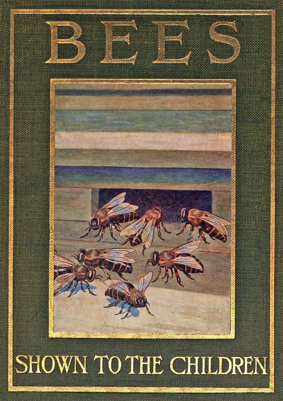 Bees, Shown to the Children Bees, Shown to the Children