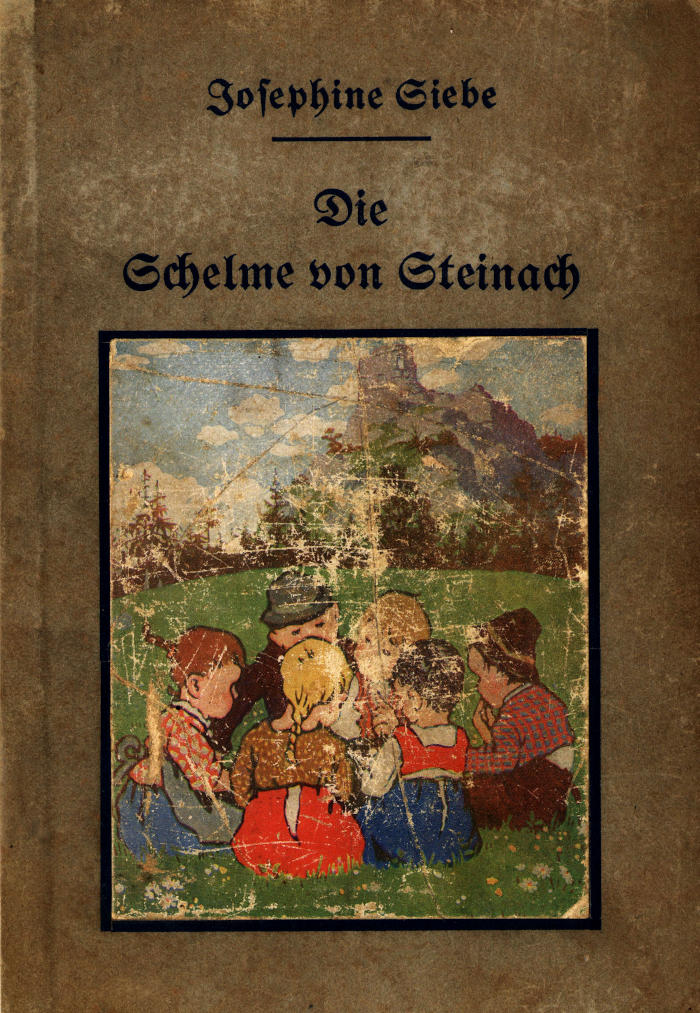 Die Schelme von Steinach: Erzählung für die Jugend Die Schelme von Steinach: Erzählung für die Jugend