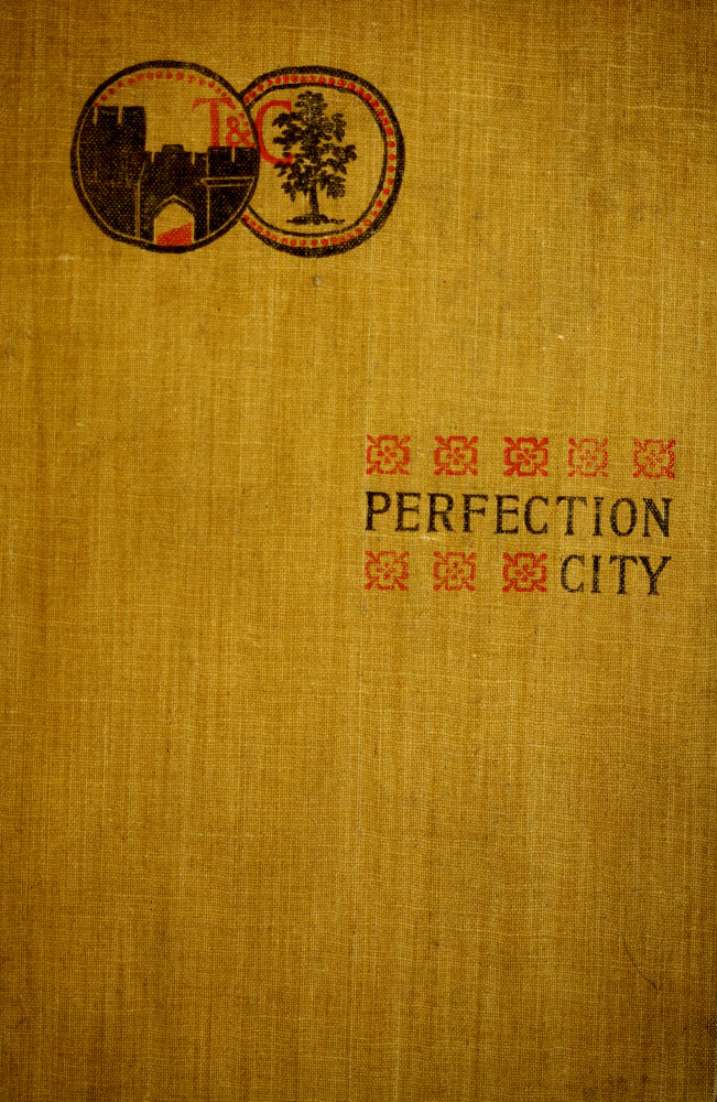 Perfection City
