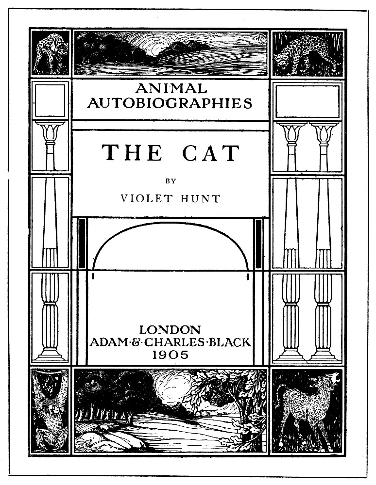 The Cat