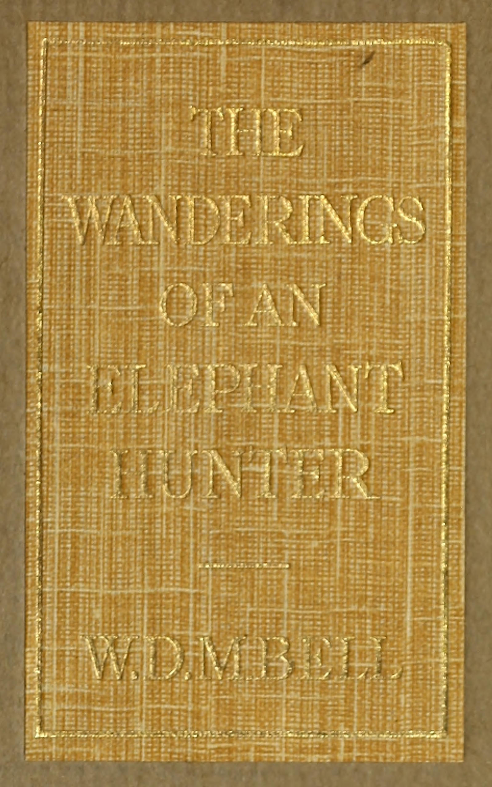 The Wanderings of an Elephant Hunter