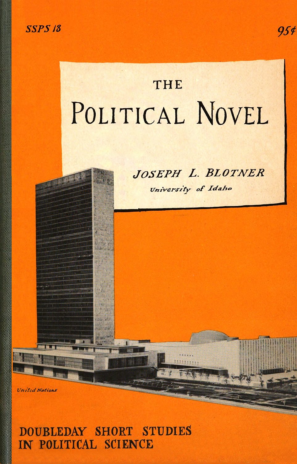 The political novel The political novel
