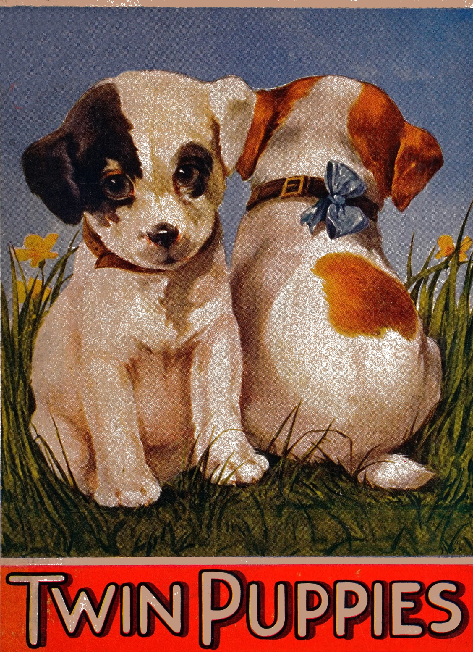 My twin puppies My twin puppies