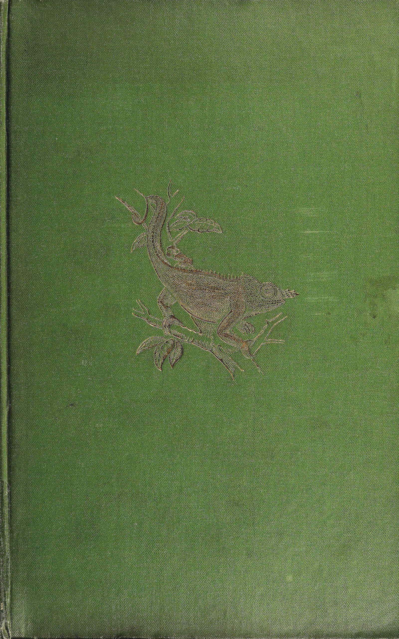 A naturalist in Madagascar A record of observation, experiences, and impressions made during a period of over fifty years' intimate association with the natives and study of the animal & vegetable life of the island A naturalist in Madagascar A record of observation, experiences, and impressions made during a period of over fifty years' intimate association with the natives and study of the animal & vegetable life of the island