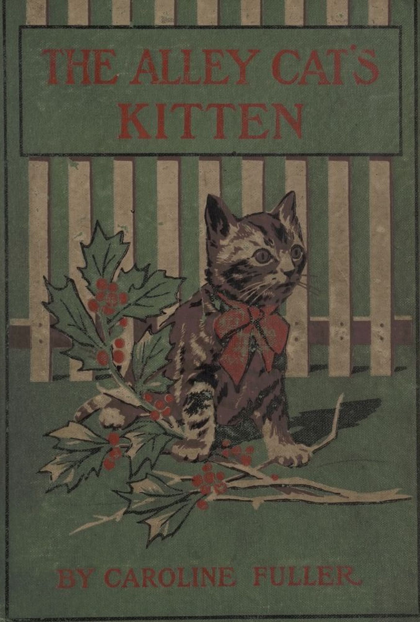 The alley cat's kitten