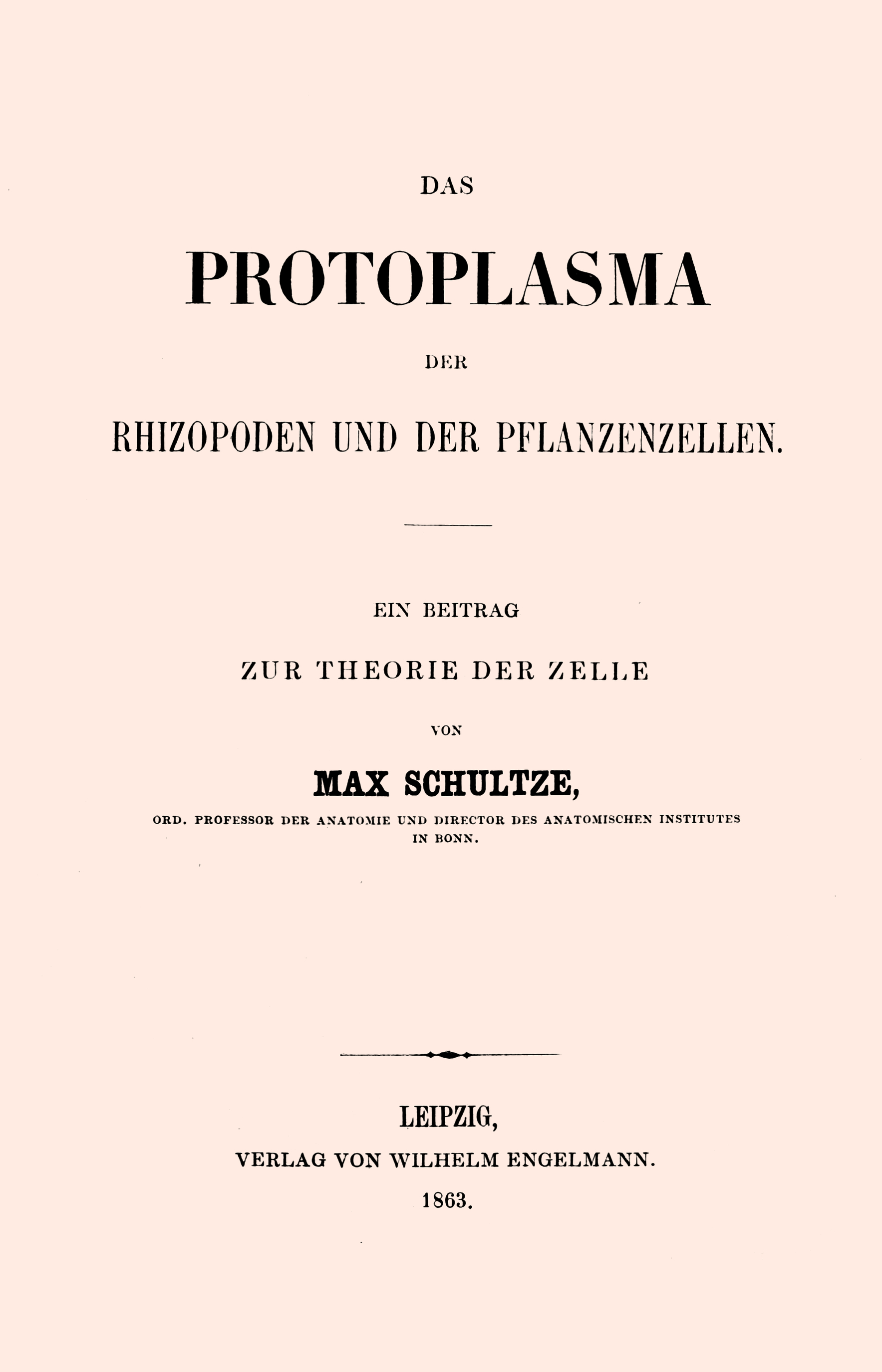 Das Protoplasma der Rhizopoden und der Pflanzenzellen ein Beitrag zur Theorie der Zelle Das Protoplasma der Rhizopoden und der Pflanzenzellen ein Beitrag zur Theorie der Zelle
